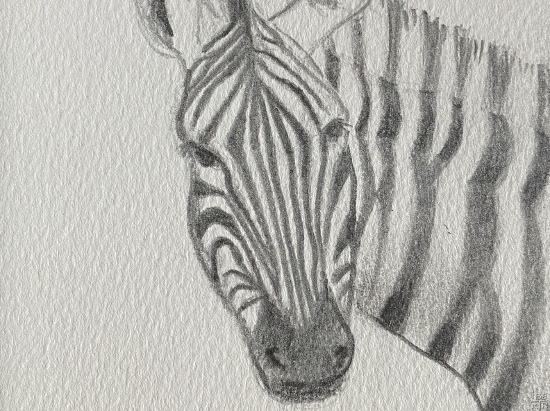 bestiaire-057