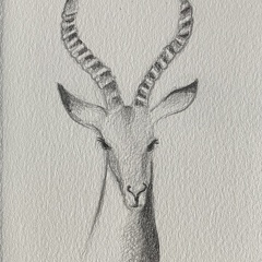 bestiaire-058