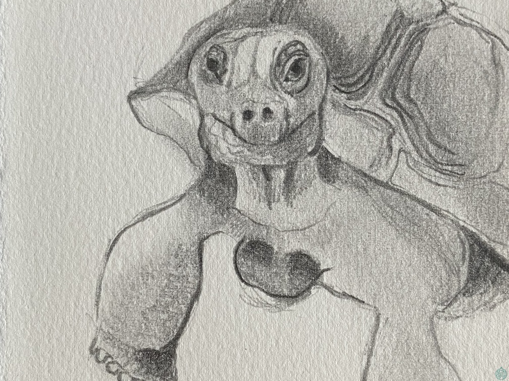 bestiaire-059
