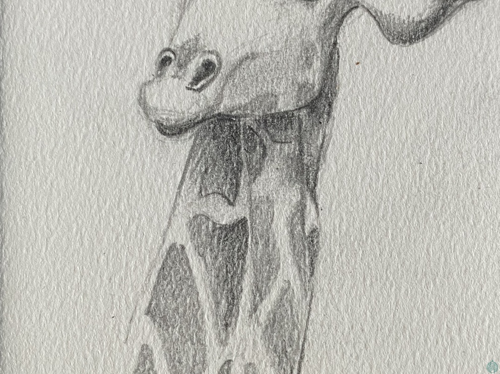 bestiaire-061
