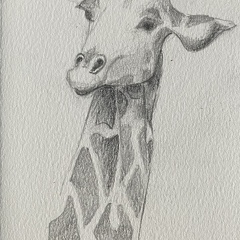 bestiaire-061