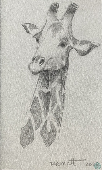 bestiaire-061.jpg