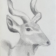 bestiaire-062