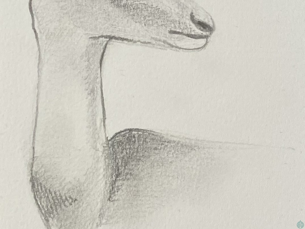 bestiaire-063