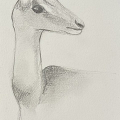 bestiaire-063