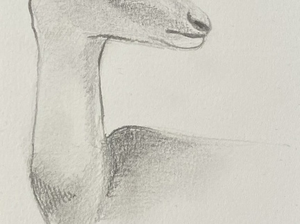 bestiaire-063