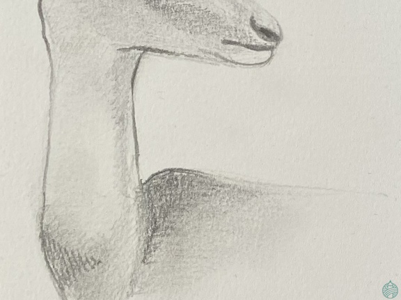 bestiaire-063