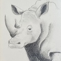 bestiaire-064