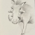 bestiaire-065