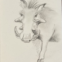 bestiaire-065