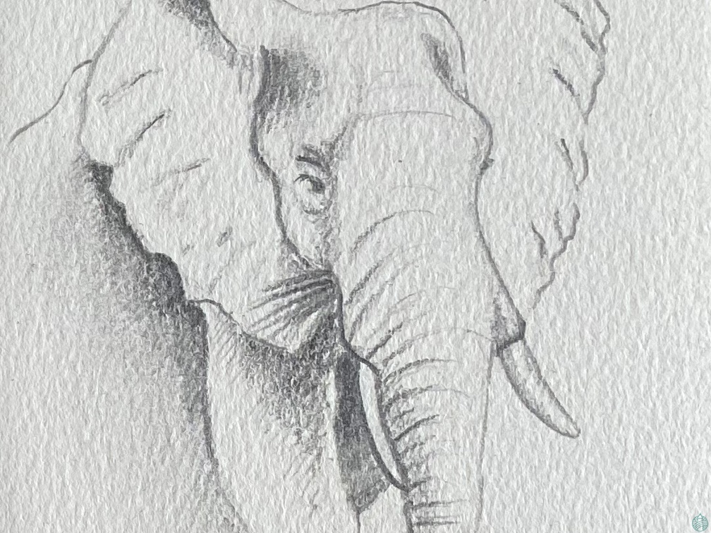 bestiaire-067
