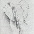 bestiaire-067