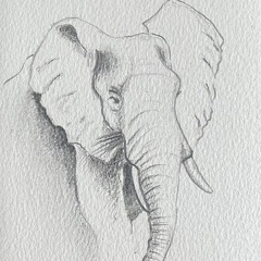 bestiaire-067