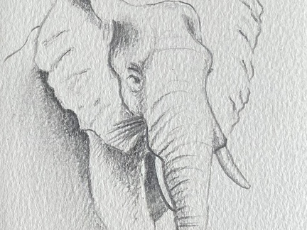 bestiaire-067
