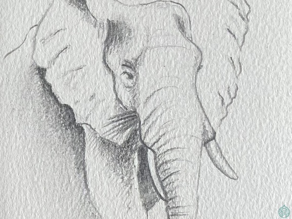 bestiaire-067