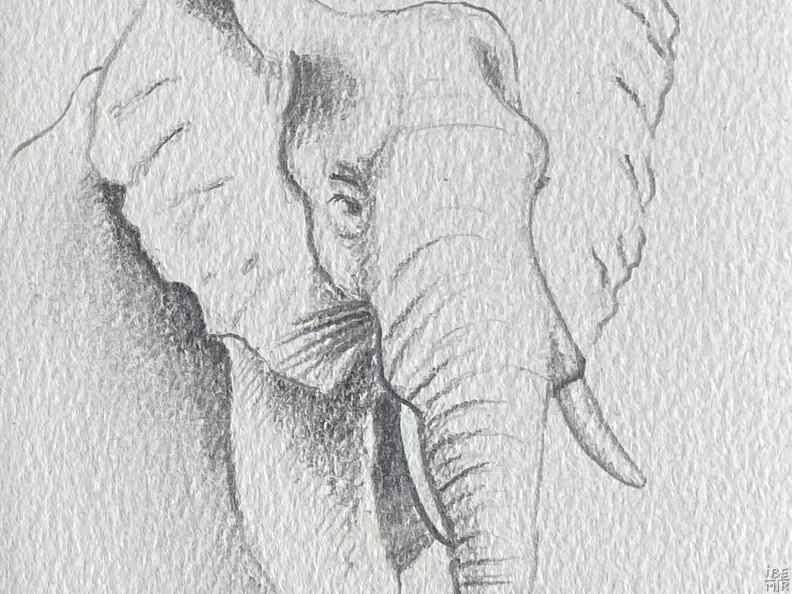 bestiaire-067