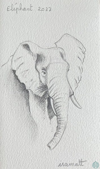 bestiaire-067.jpg