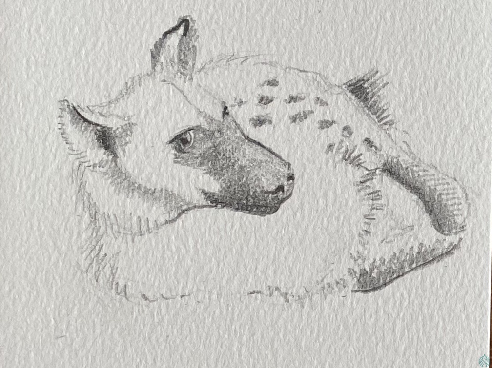 bestiaire-066
