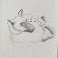 bestiaire-066
