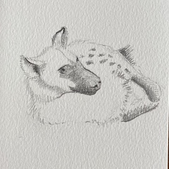 bestiaire-066