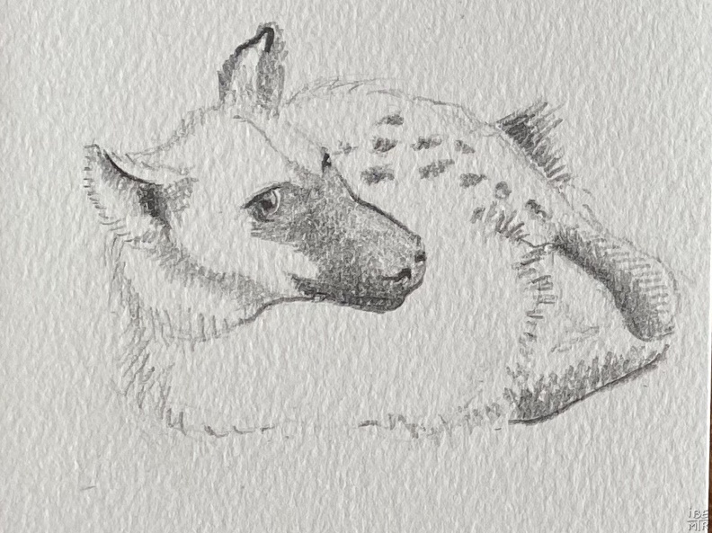 bestiaire-066