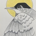 bestiaire-070