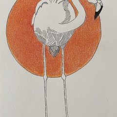 bestiaire-071