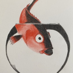 bestiaire-073