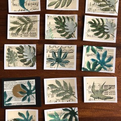 botanique-001