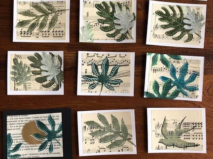 botanique-001