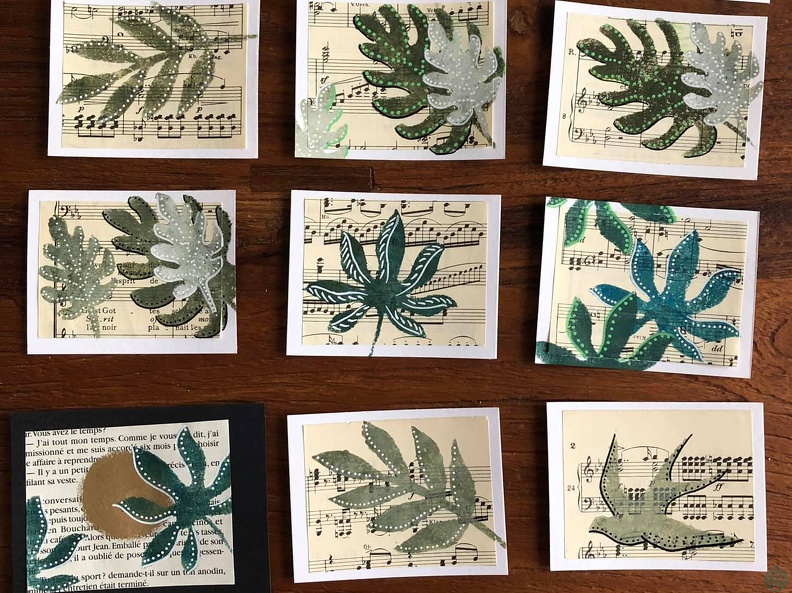 botanique-001