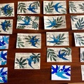 botanique-002
