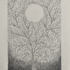 botanique-008