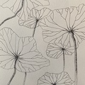 botanique-010