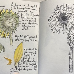 botanique-015
