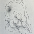 botanique-017