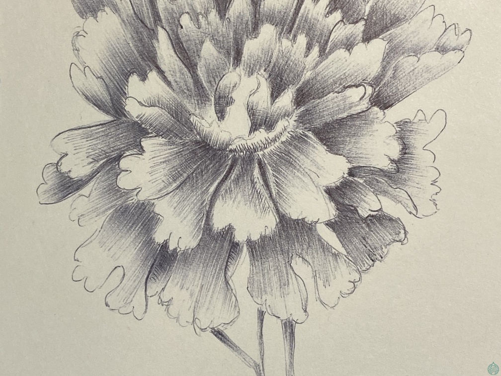 botanique-018