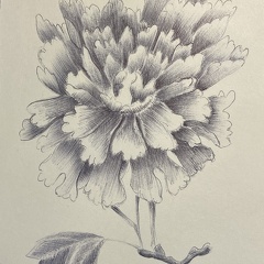 botanique-018