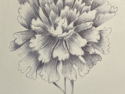 botanique-018