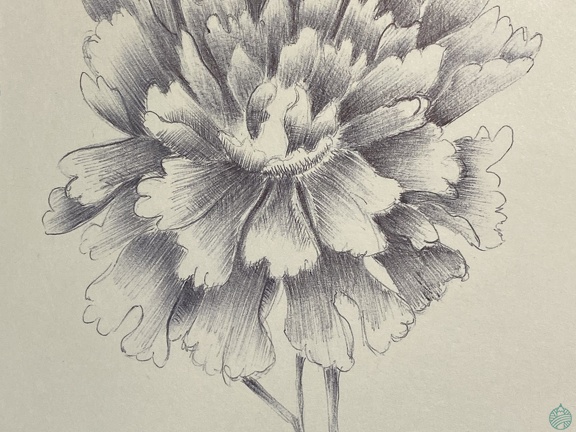 botanique-018