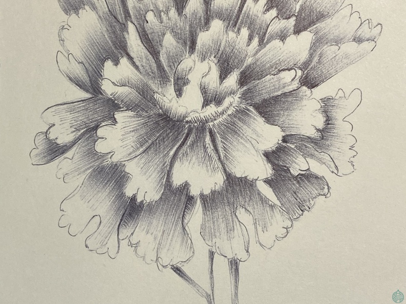 botanique-018
