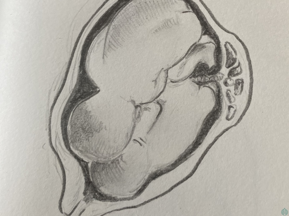 croquis-001