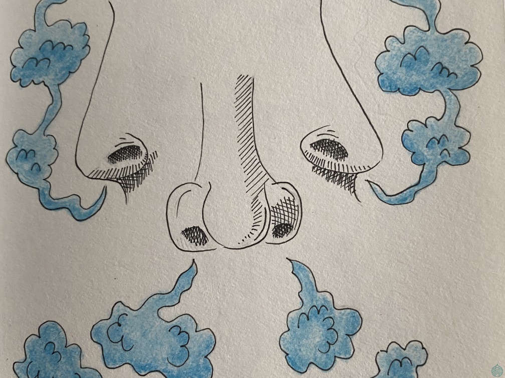 croquis-015