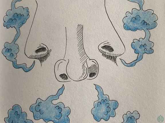 croquis-015