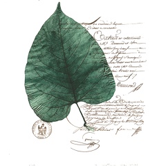 estampes-001