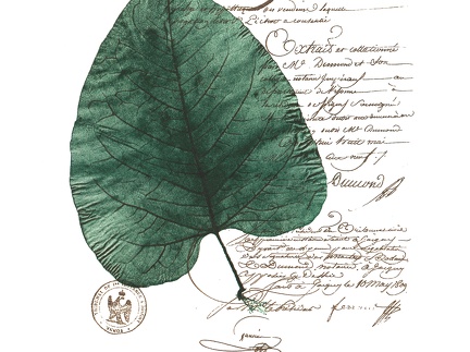 estampes-001