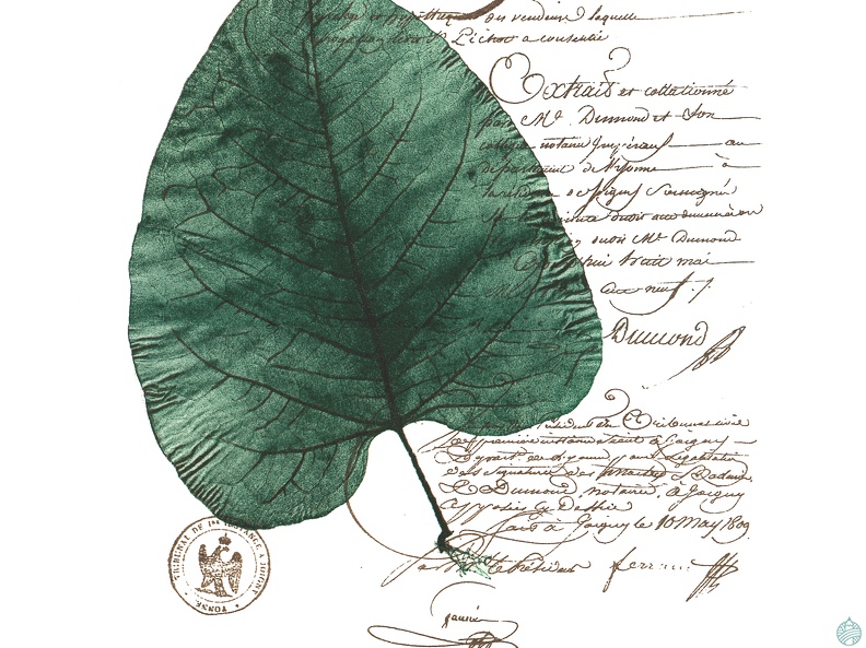 estampes-001