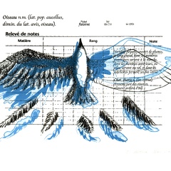estampes-002