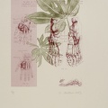 estampes-003