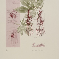 estampes-003